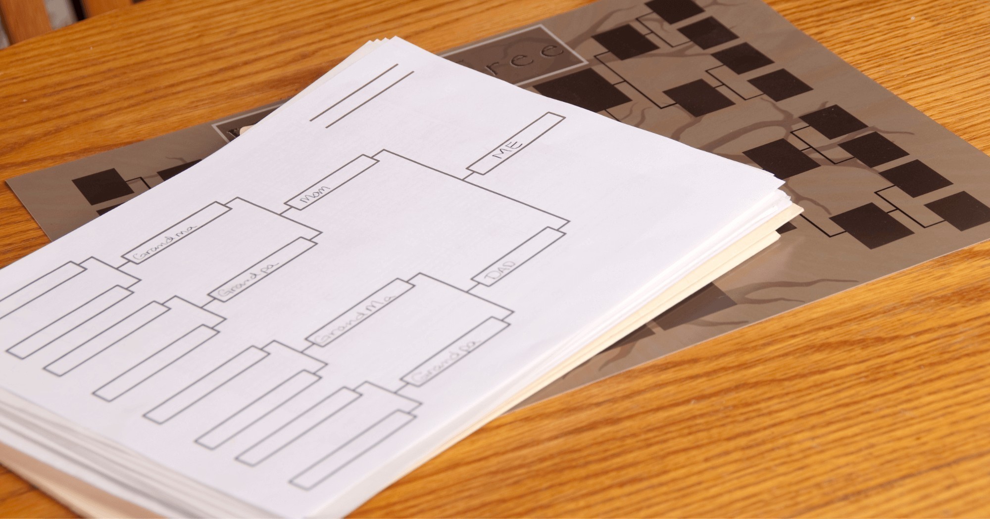 Psicogenealogia genogramma