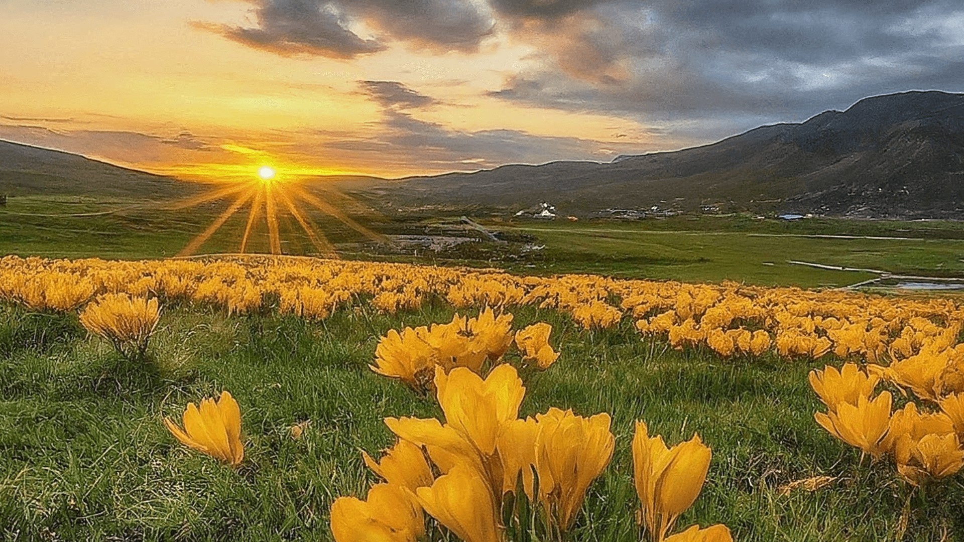 equinozio di primavera04 1