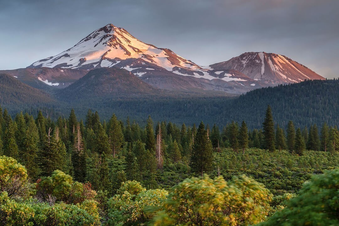 Monte Shasta