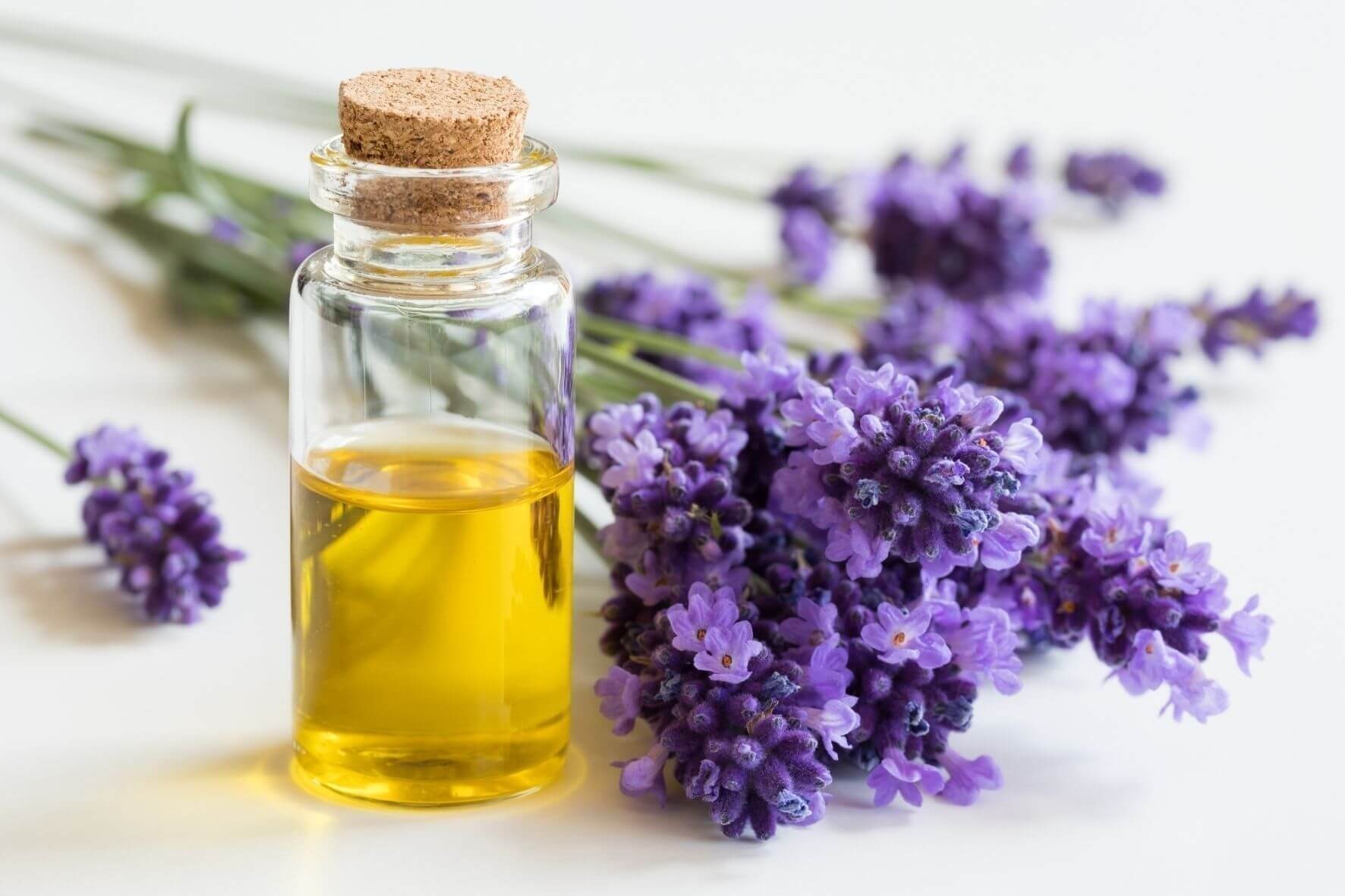 Olio essenziale lavanda