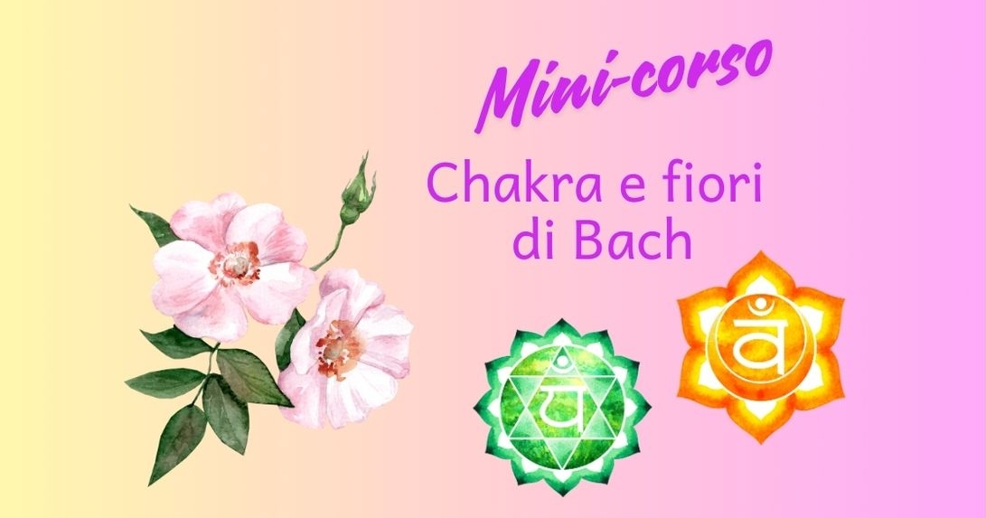 Mini-corso chakra e fiori di Bach ONLINE
